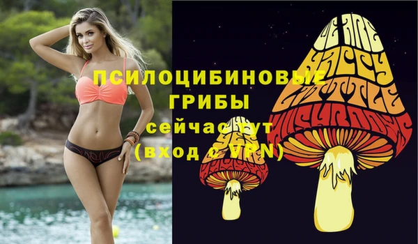 не бодяженный Алексин