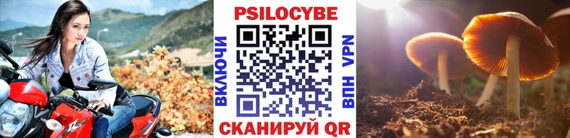 Галлюциногенные грибы Cubensis  маркетплейс как зайти  Красноуфимск 