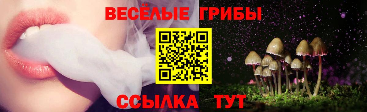 Галлюциногенные грибы GOLDEN TEACHER Красноуфимск