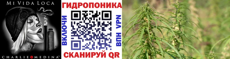 купить   Красноуфимск  Конопля VHQ 
